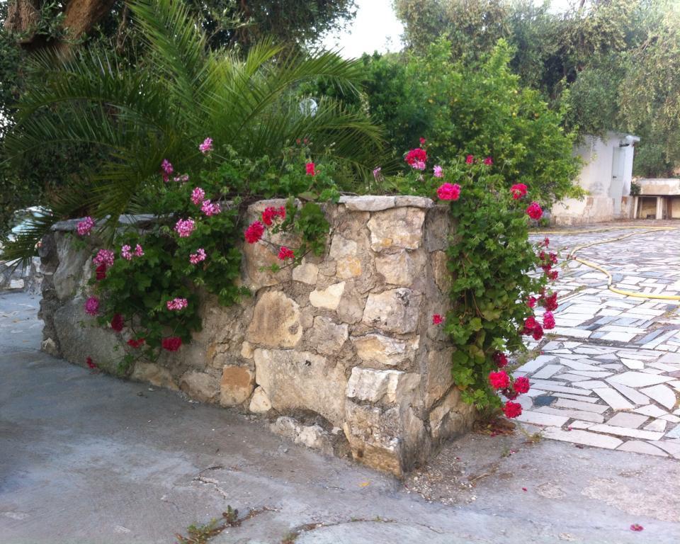 Azienda Agricola B&B Macchiaria Vieste Exterior photo