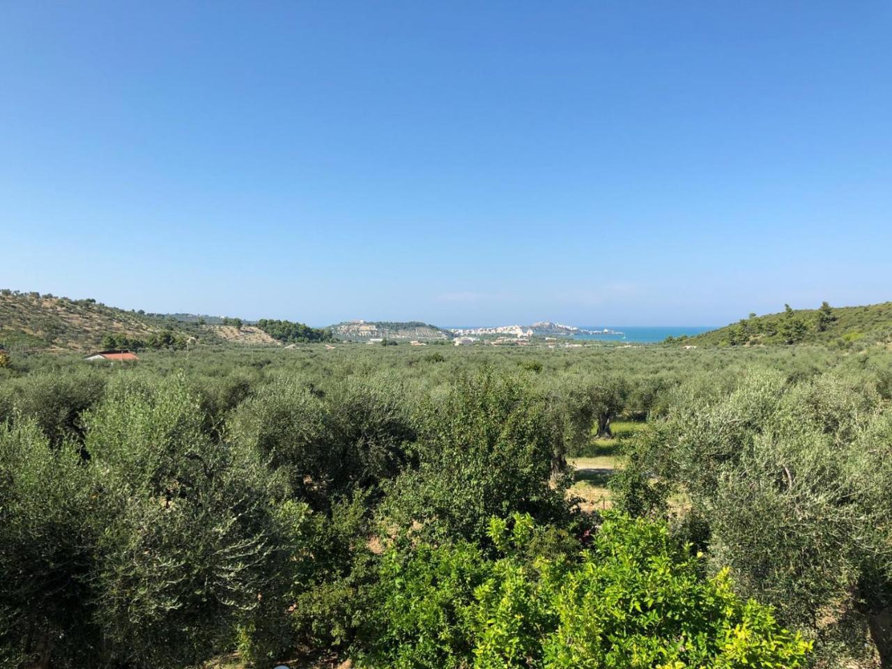 Azienda Agricola B&B Macchiaria Vieste Exterior photo